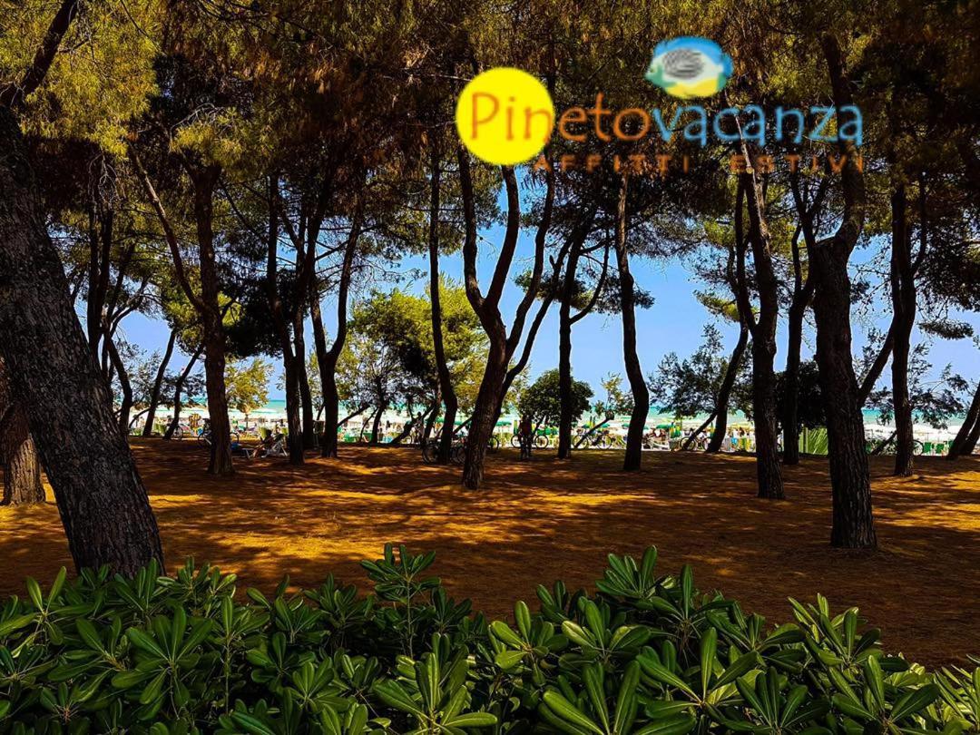 Myconos C2 - Pineto Vacanza Exterior photo